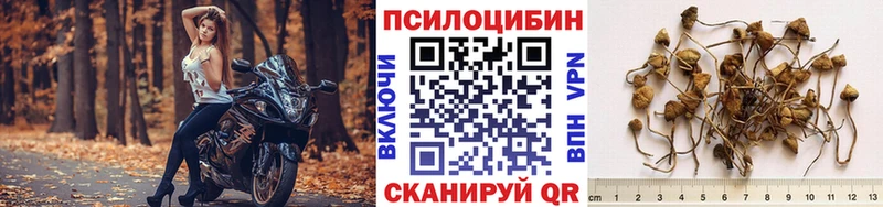 наркошоп  Апшеронск  Псилоцибиновые грибы ЛСД 